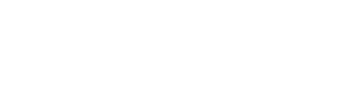 Delft imaging logo white